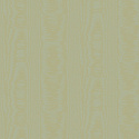 V5 005